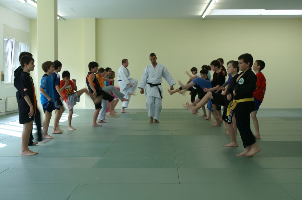 PICT0065a_Karate
