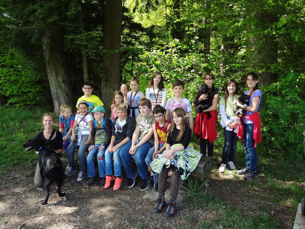 flim-hund
